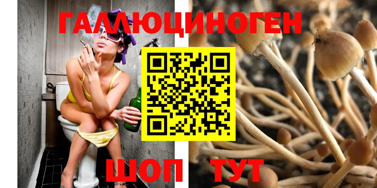 Тверь  Галлюциногенные грибы GOLDEN TEACHER  Вход с VPN 