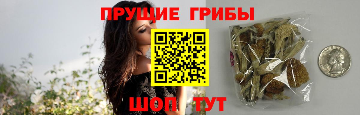 Галлюциногенные грибы MAGIC MUSHROOMS Тверь