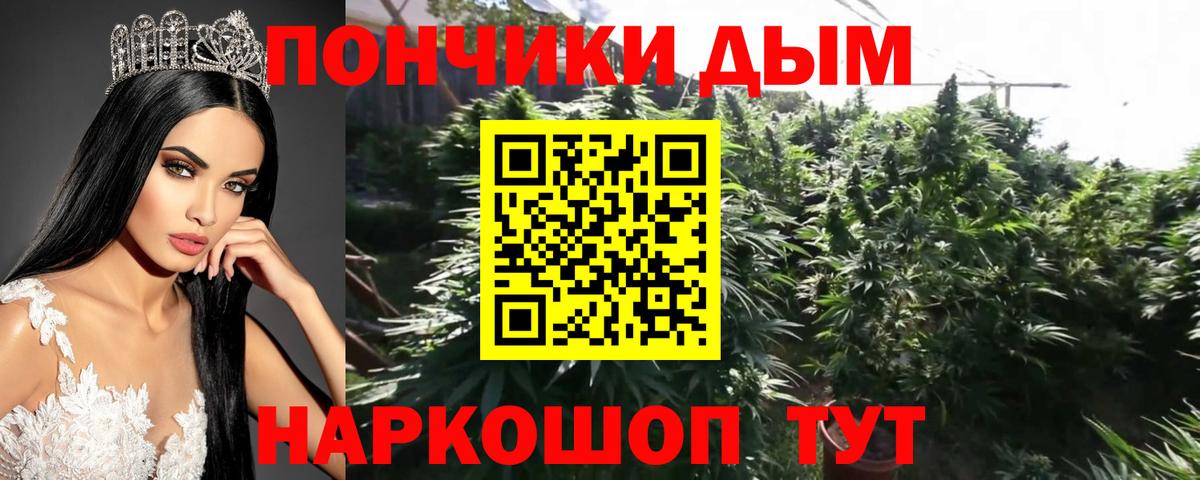 Канабис конопля  Шишки марихуана план  Бошки марихуана SATIVA & INDICA  Вход с VPN  МАРИХУАНА LSD WEED  Тверь 